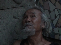 HOA THƯƠNG MUỘNG 