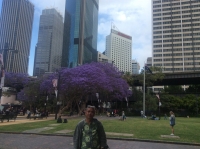 TỪNG NGÀY VÀ MÃI MÃI / ALWAYS ON MY MIND